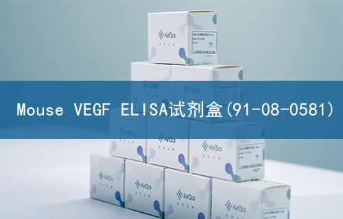 Mouse VEGF ELISA试剂盒(91-08-0581)